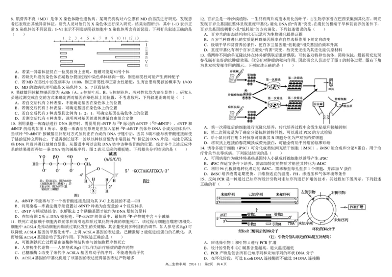 四川省成都市树德中学2024-2025学年高三上学期期中考试生物试题扫描版含答案_2024-2025高三（6-6月题库）_2024年11月试卷