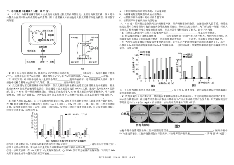 四川省成都市树德中学2024-2025学年高三上学期期中考试生物试题扫描版含答案_2024-2025高三（6-6月题库）_2024年11月试卷