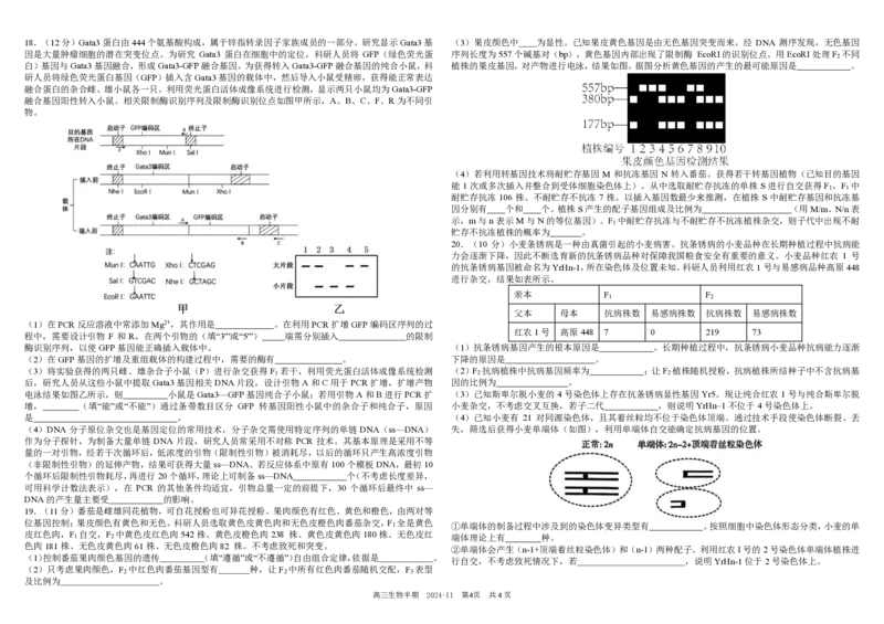 四川省成都市树德中学2024-2025学年高三上学期期中考试生物试题扫描版含答案_2024-2025高三（6-6月题库）_2024年11月试卷