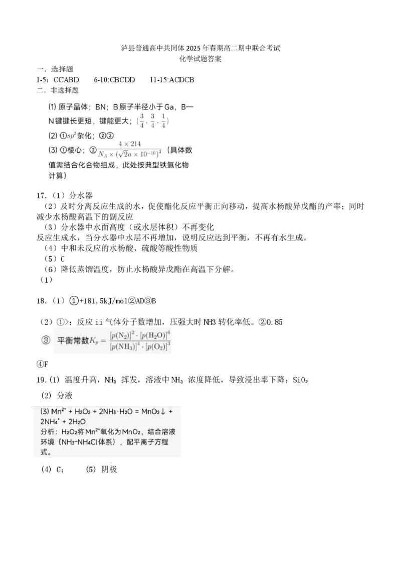 四川省泸州市泸县高中共同体2024-2025学年高二下学期4月期中联考试题化学PDF版含答案_2024-2025高二（7-7月题库）_2025年05月试卷