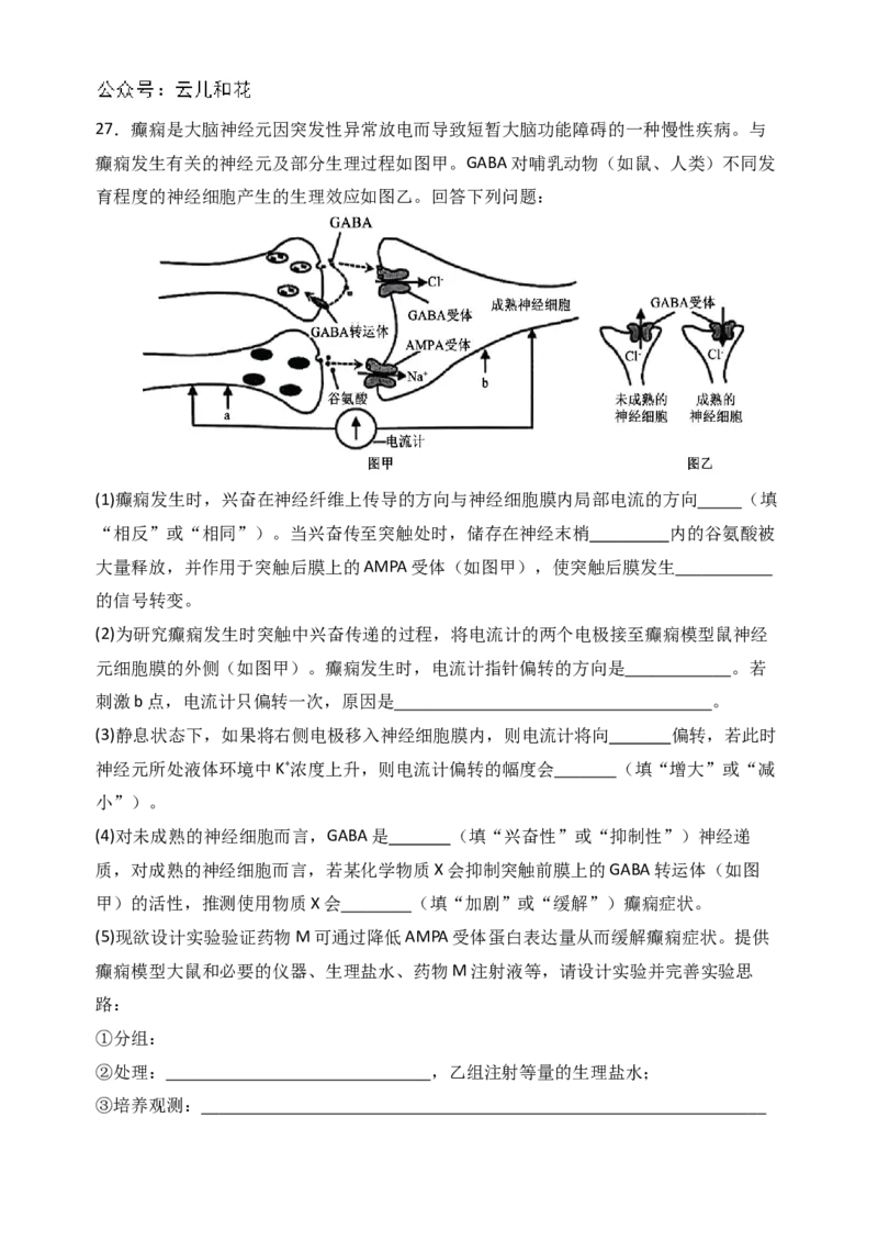 河南省郑州外国语学校2024-2025学年高二上学期10月月考试题生物Word版含答案_2024-2025高二（7-7月题库）_2024年10月试卷_1026河南省郑州外国语学校2024-2025学年高二上学期10月月考