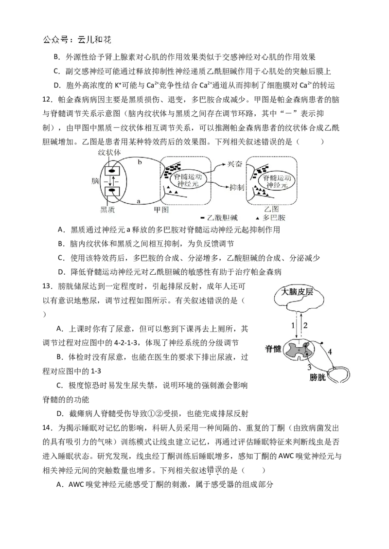 河南省郑州外国语学校2024-2025学年高二上学期10月月考试题生物Word版含答案_2024-2025高二（7-7月题库）_2024年10月试卷_1026河南省郑州外国语学校2024-2025学年高二上学期10月月考