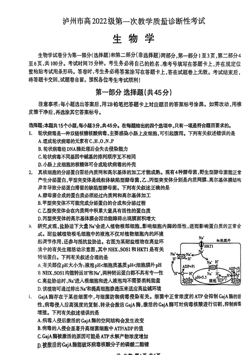 四川省泸州市高2022级第一次教学质量诊断性考试生物_2024-2025高三（6-6月题库）_2024年11月试卷_1130四川省泸州市高2022级第一次教学质量诊断性考试（全科）