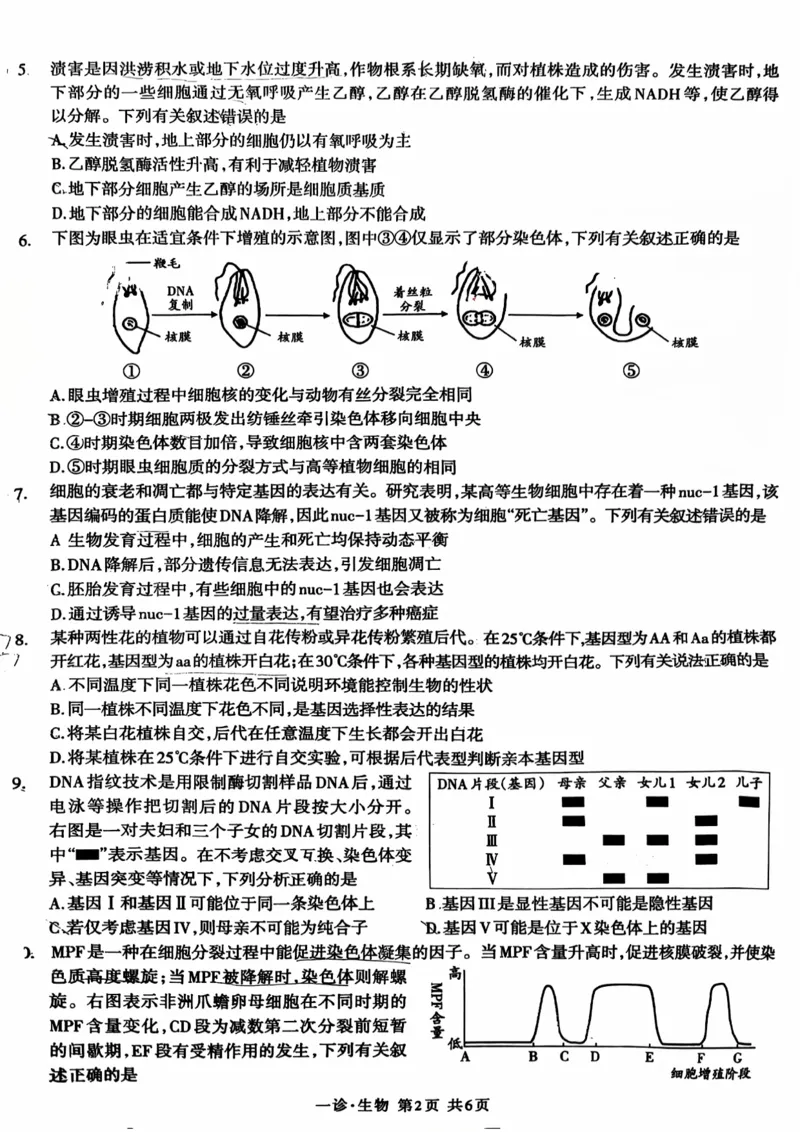 四川省泸州市高2022级第一次教学质量诊断性考试生物_2024-2025高三（6-6月题库）_2024年11月试卷_1130四川省泸州市高2022级第一次教学质量诊断性考试（全科）