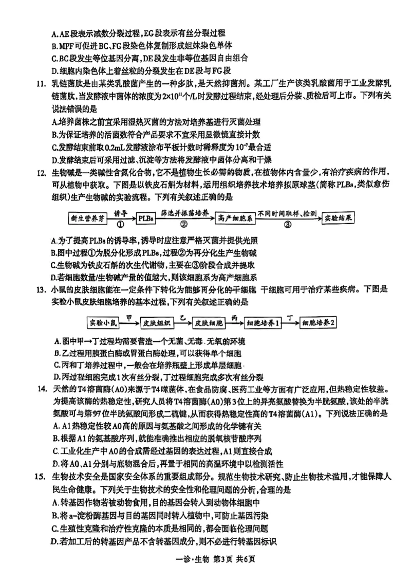 四川省泸州市高2022级第一次教学质量诊断性考试生物_2024-2025高三（6-6月题库）_2024年11月试卷_1130四川省泸州市高2022级第一次教学质量诊断性考试（全科）