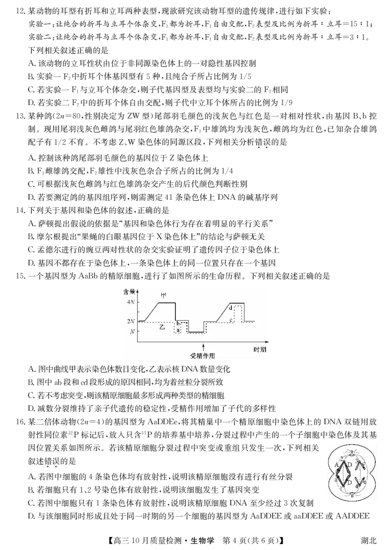 湖北省九师联盟2024届高三10月质量检测生物(1)_2023年11月_0211月合集_2024届湖北省九师联盟高三10月质量检测（X）_湖北省九师联盟2024届高三10月质量检测（X）生物