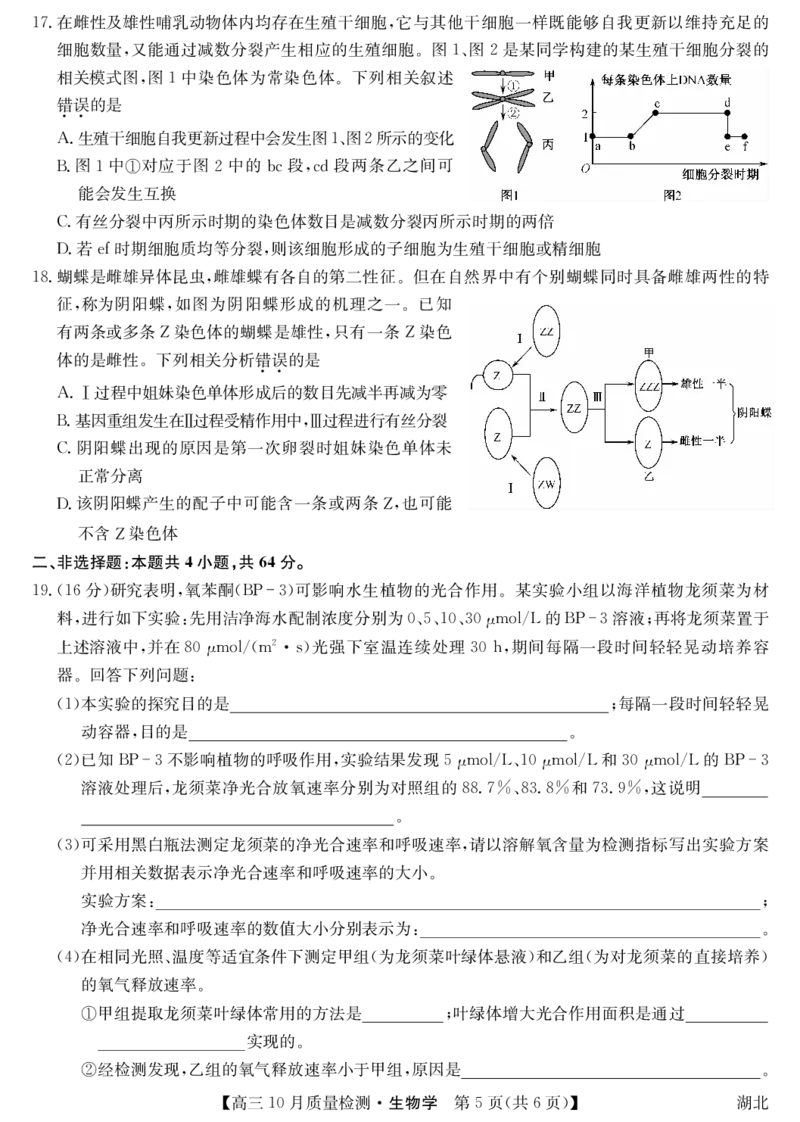 湖北省九师联盟2024届高三10月质量检测生物(1)_2023年11月_0211月合集_2024届湖北省九师联盟高三10月质量检测（X）_湖北省九师联盟2024届高三10月质量检测（X）生物