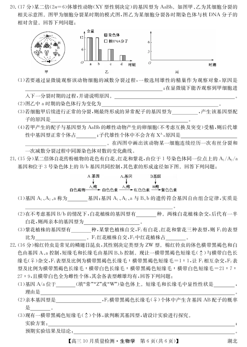 湖北省九师联盟2024届高三10月质量检测生物(1)_2023年11月_0211月合集_2024届湖北省九师联盟高三10月质量检测（X）_湖北省九师联盟2024届高三10月质量检测（X）生物