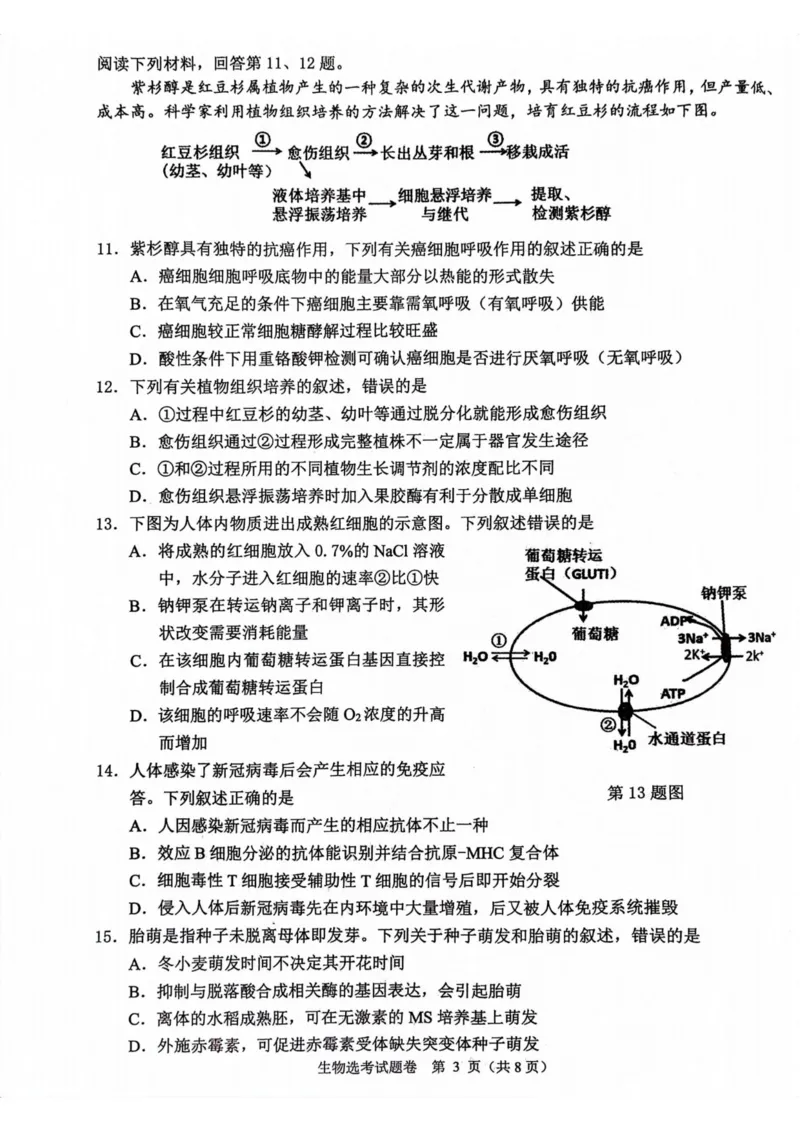 生物卷-2311稽阳联考(1)_2023年11月_0211月合集_2024届浙江省稽阳联谊学校高三上学期11月联考_浙江省稽阳联谊学校2024届高三上学期11月联考生物