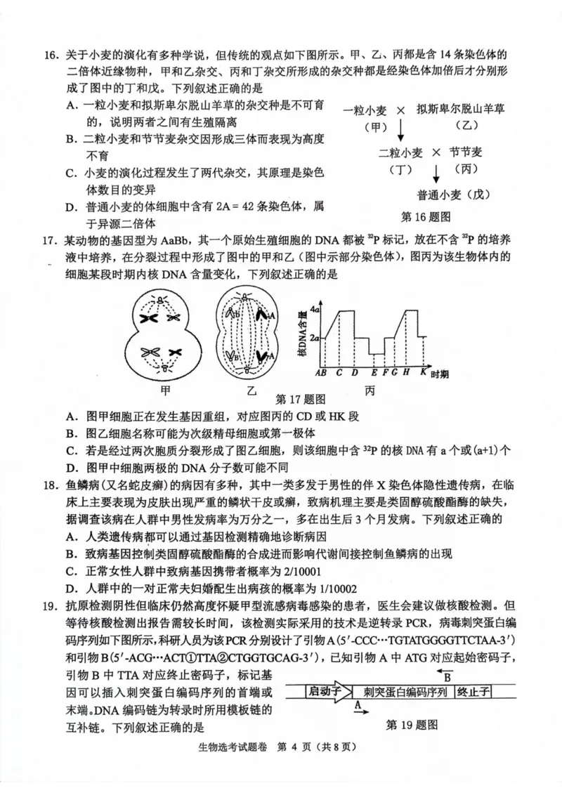 生物卷-2311稽阳联考(1)_2023年11月_0211月合集_2024届浙江省稽阳联谊学校高三上学期11月联考_浙江省稽阳联谊学校2024届高三上学期11月联考生物
