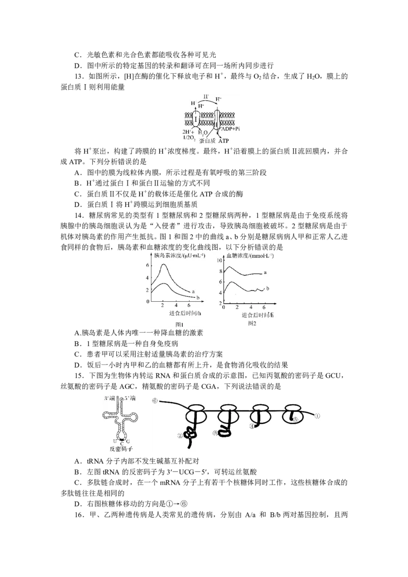 广东省大湾区（正禾）2024-2025学年高三上学期大联考生物试题_2024-2025高三（6-6月题库）_2024年12月试卷_1209广东省大湾区（正禾）大联考2024-2025学年高三上学期模拟
