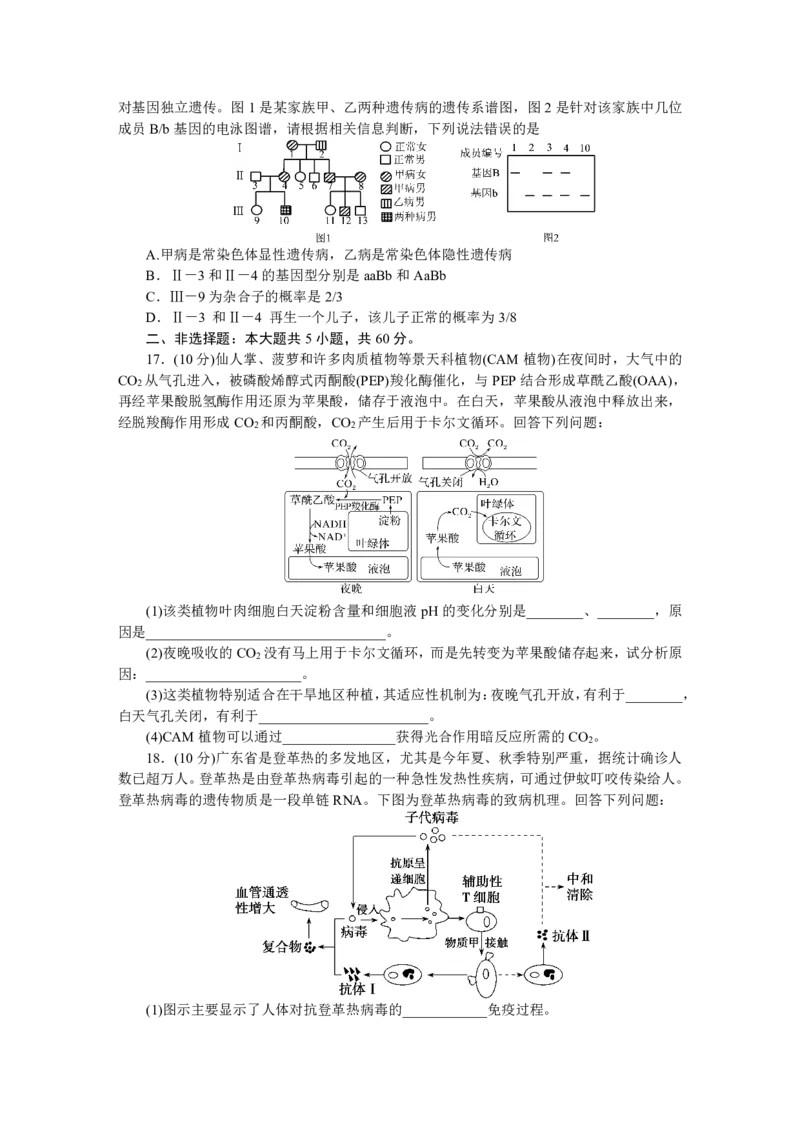 广东省大湾区（正禾）2024-2025学年高三上学期大联考生物试题_2024-2025高三（6-6月题库）_2024年12月试卷_1209广东省大湾区（正禾）大联考2024-2025学年高三上学期模拟