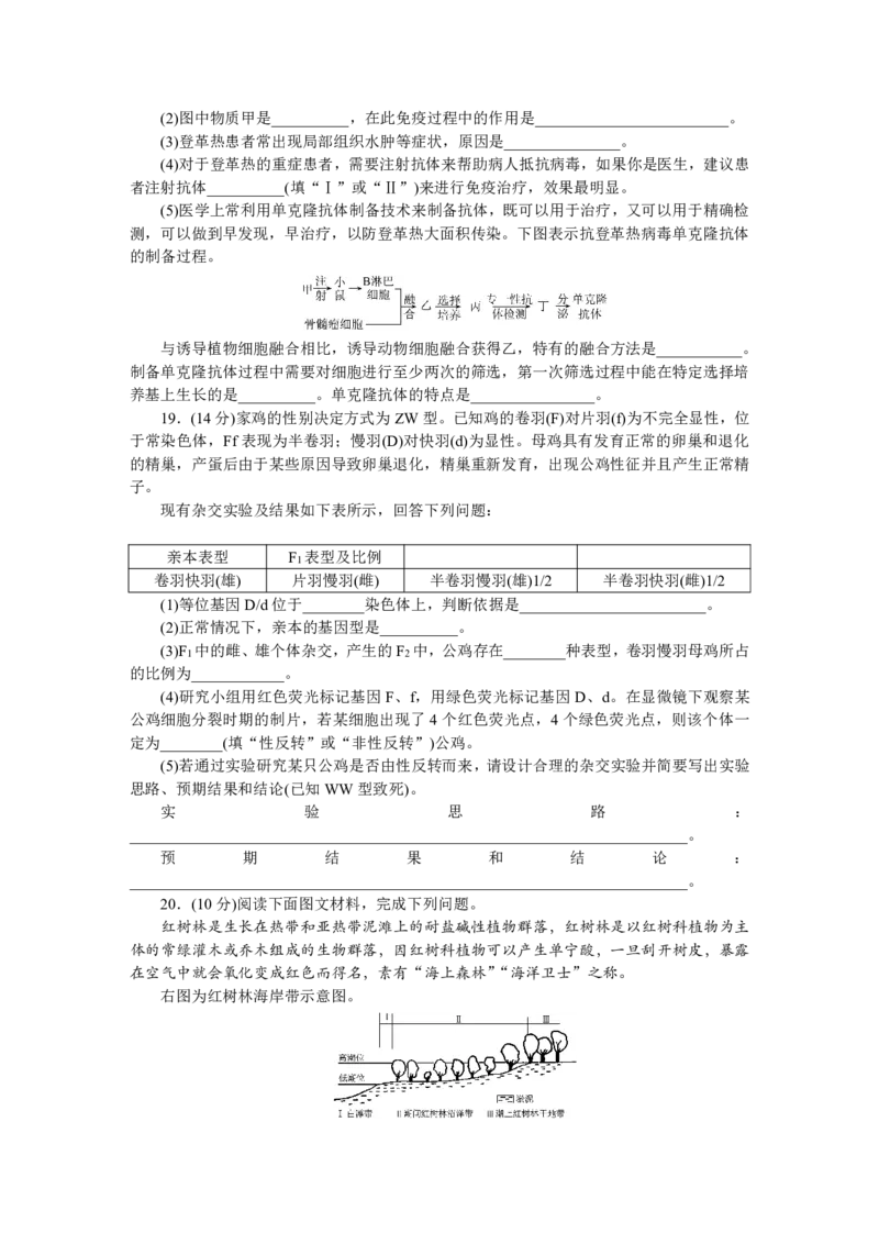 广东省大湾区（正禾）2024-2025学年高三上学期大联考生物试题_2024-2025高三（6-6月题库）_2024年12月试卷_1209广东省大湾区（正禾）大联考2024-2025学年高三上学期模拟