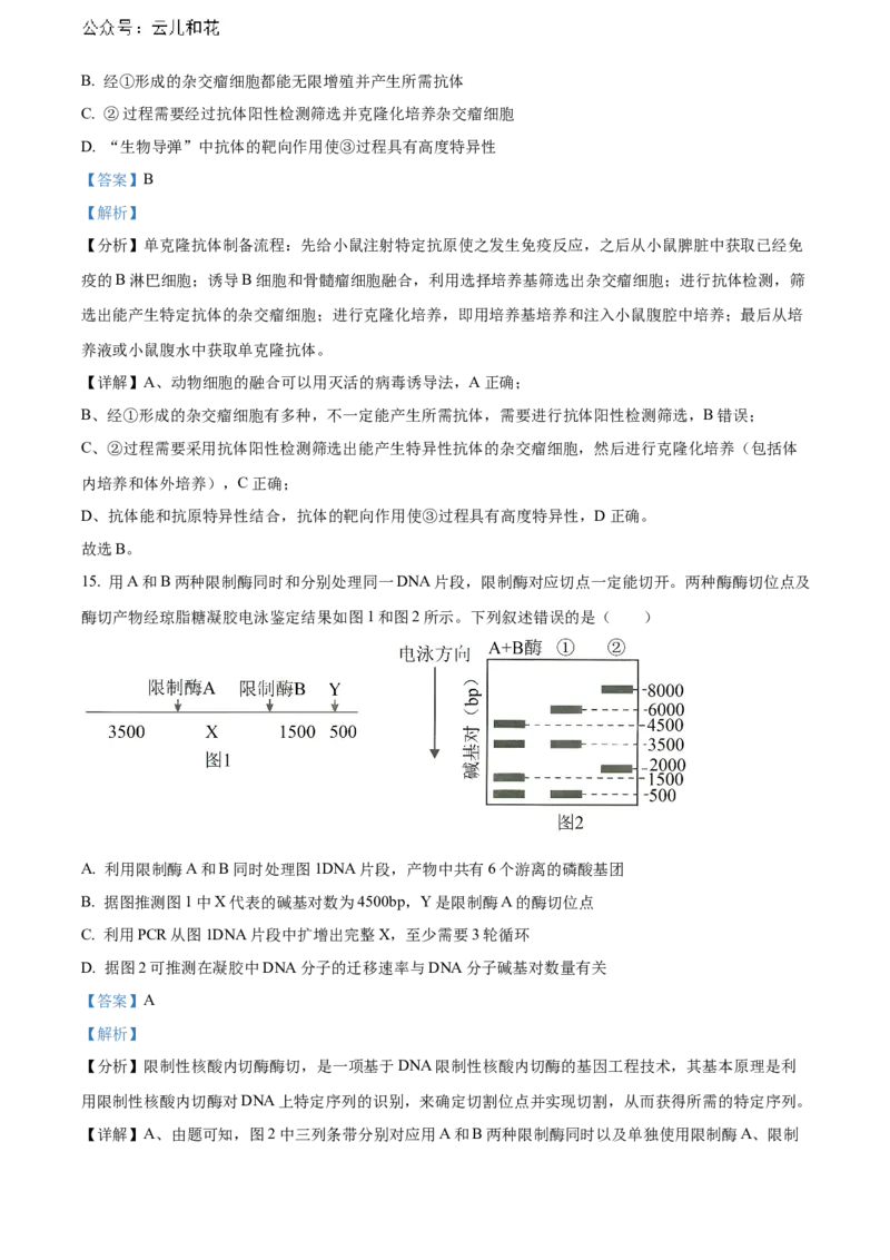安徽省黄山市2023-2024学年高二下学期7月期末考试生物Word版含解析_2024-2025高二（7-7月题库）_2024年07月试卷_0722安徽省黄山市2023-2024学年高二下学期7月期末考试