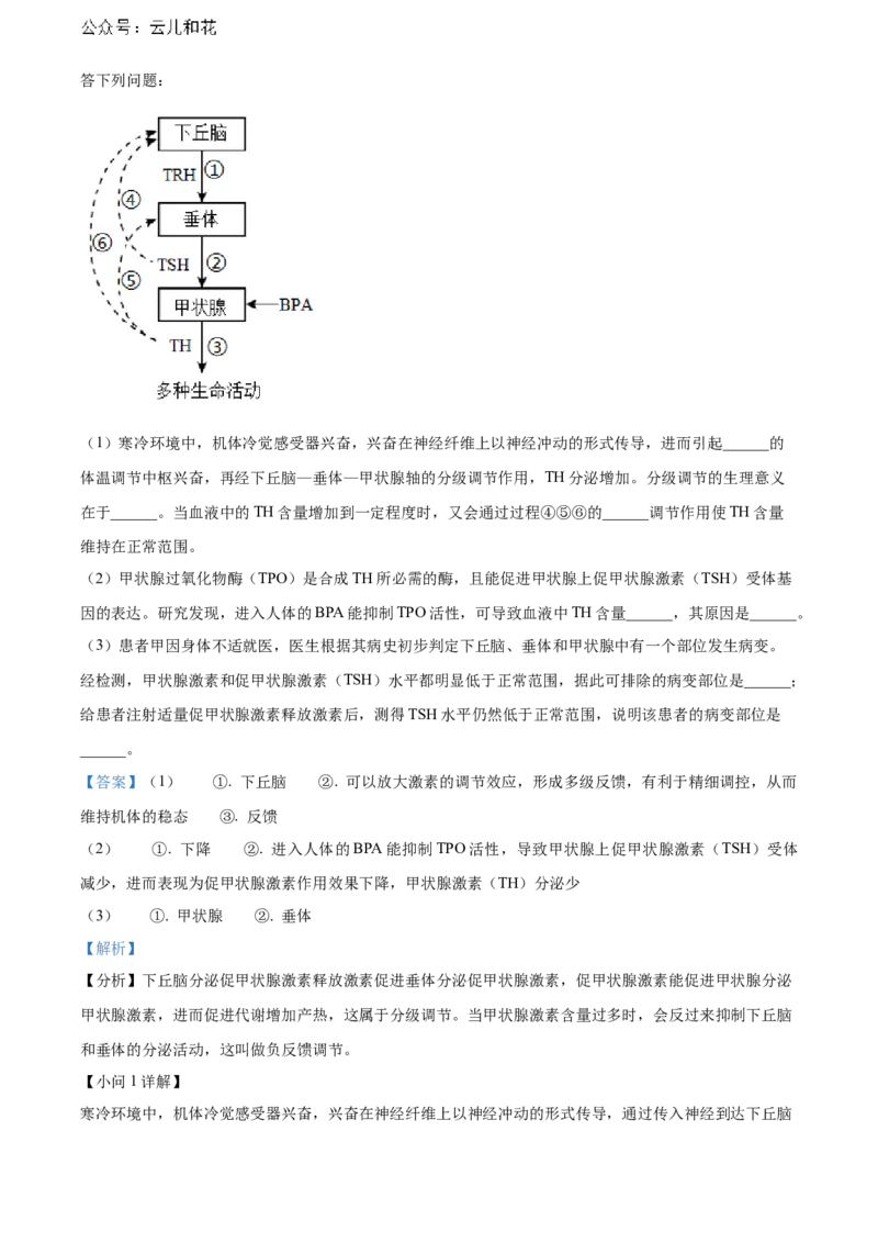 安徽省黄山市2023-2024学年高二下学期7月期末考试生物Word版含解析_2024-2025高二（7-7月题库）_2024年07月试卷_0722安徽省黄山市2023-2024学年高二下学期7月期末考试