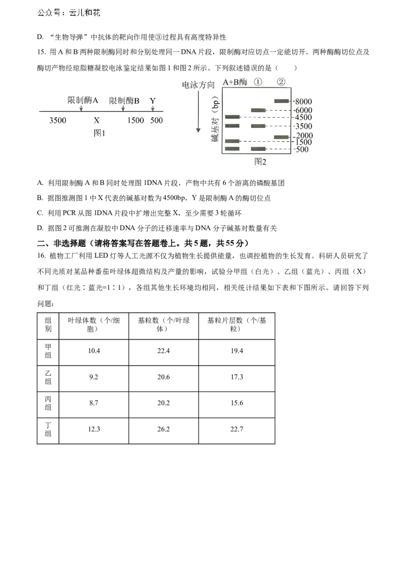 安徽省黄山市2023-2024学年高二下学期7月期末考试生物Word版含解析_2024-2025高二（7-7月题库）_2024年07月试卷_0722安徽省黄山市2023-2024学年高二下学期7月期末考试