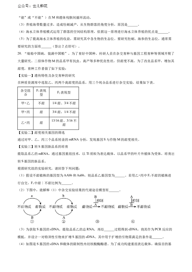 安徽省黄山市2023-2024学年高二下学期7月期末考试生物Word版含解析_2024-2025高二（7-7月题库）_2024年07月试卷_0722安徽省黄山市2023-2024学年高二下学期7月期末考试