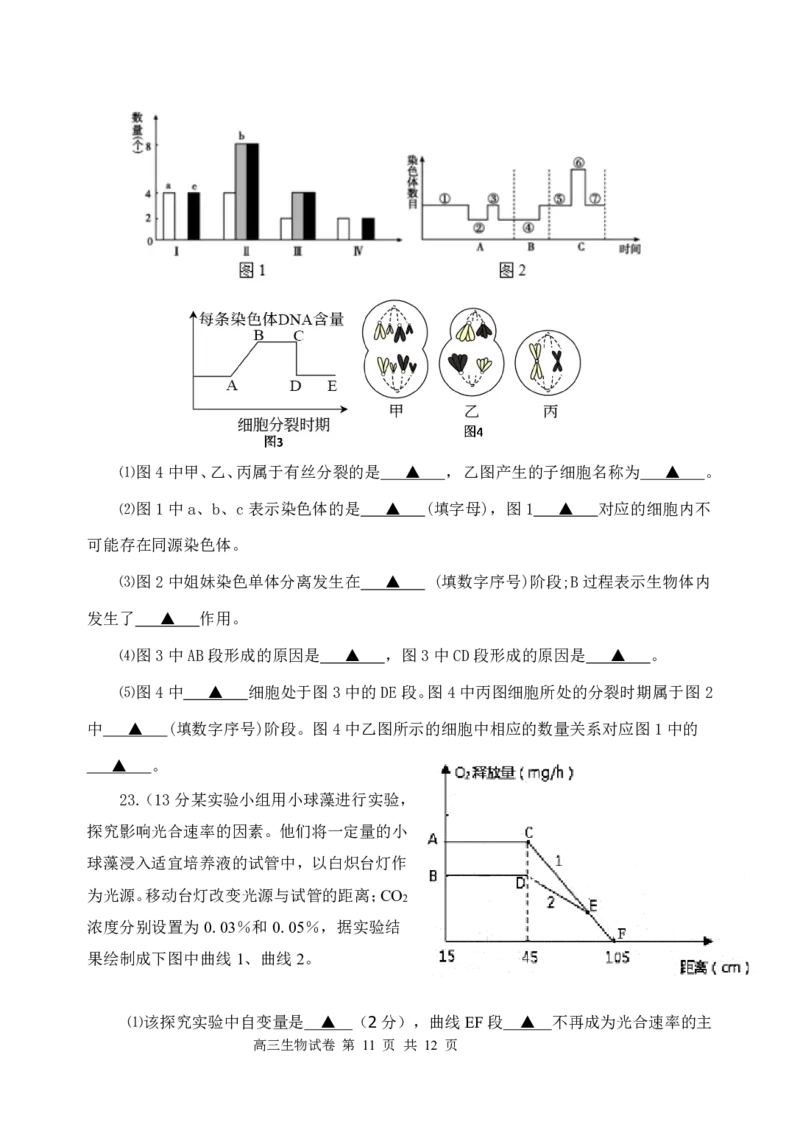 江苏省盐城市五校联考2024-2025学年高三上学期10月月考生物试题_2024-2025高三（6-6月题库）_2024年10月试卷_1017江苏省盐城市五校联考2024-2025学年高三上学期10月月考