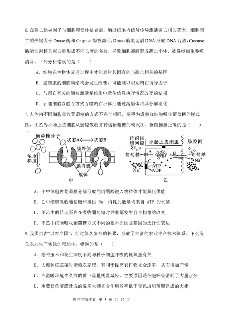 江苏省盐城市五校联考2024-2025学年高三上学期10月月考生物试题_2024-2025高三（6-6月题库）_2024年10月试卷_1017江苏省盐城市五校联考2024-2025学年高三上学期10月月考