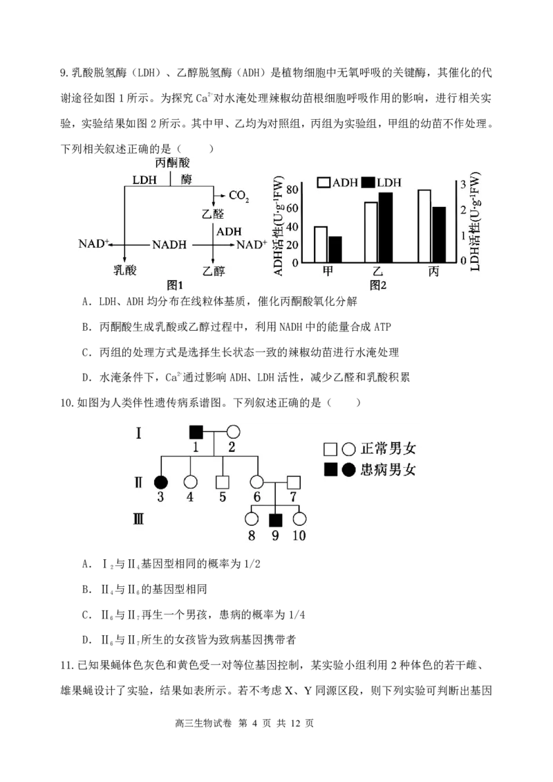 江苏省盐城市五校联考2024-2025学年高三上学期10月月考生物试题_2024-2025高三（6-6月题库）_2024年10月试卷_1017江苏省盐城市五校联考2024-2025学年高三上学期10月月考