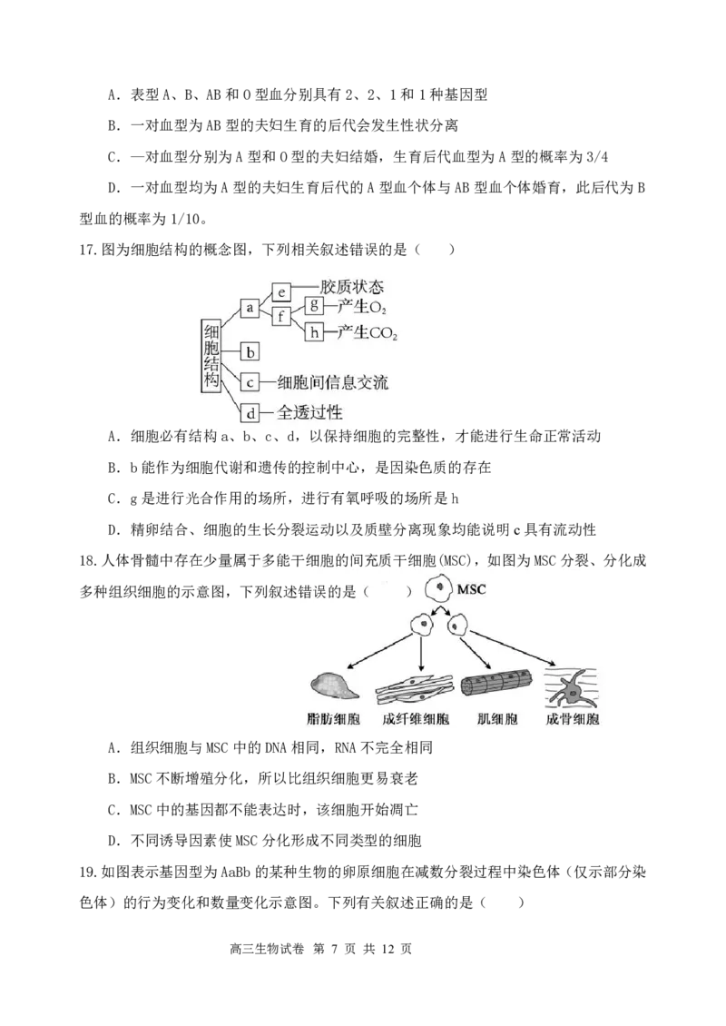 江苏省盐城市五校联考2024-2025学年高三上学期10月月考生物试题_2024-2025高三（6-6月题库）_2024年10月试卷_1017江苏省盐城市五校联考2024-2025学年高三上学期10月月考