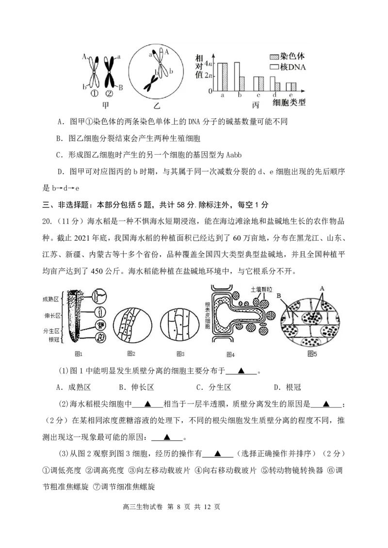 江苏省盐城市五校联考2024-2025学年高三上学期10月月考生物试题_2024-2025高三（6-6月题库）_2024年10月试卷_1017江苏省盐城市五校联考2024-2025学年高三上学期10月月考