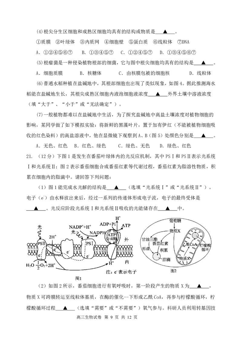 江苏省盐城市五校联考2024-2025学年高三上学期10月月考生物试题_2024-2025高三（6-6月题库）_2024年10月试卷_1017江苏省盐城市五校联考2024-2025学年高三上学期10月月考