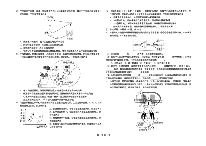 吉林省长春市朝阳区长春外国语学校2025-2026学年高二上学期12月月考生物试题含答案_2024-2025高二（7-7月题库）_2026年1月高二