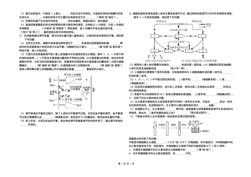 吉林省长春市朝阳区长春外国语学校2025-2026学年高二上学期12月月考生物试题含答案_2024-2025高二（7-7月题库）_2026年1月高二