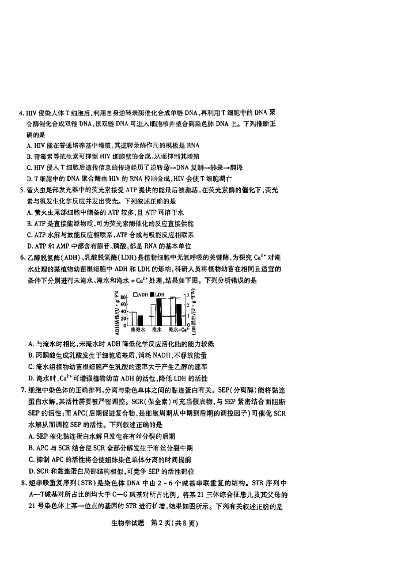 天一大联考2024-2025学年（上）湖南高三一联生物试卷_2024-2025高三（6-6月题库）_2024年09月试卷_0930湖南省天一大联考2025届高三9月联考_湖南天一大联考2025届高三9月联考生物