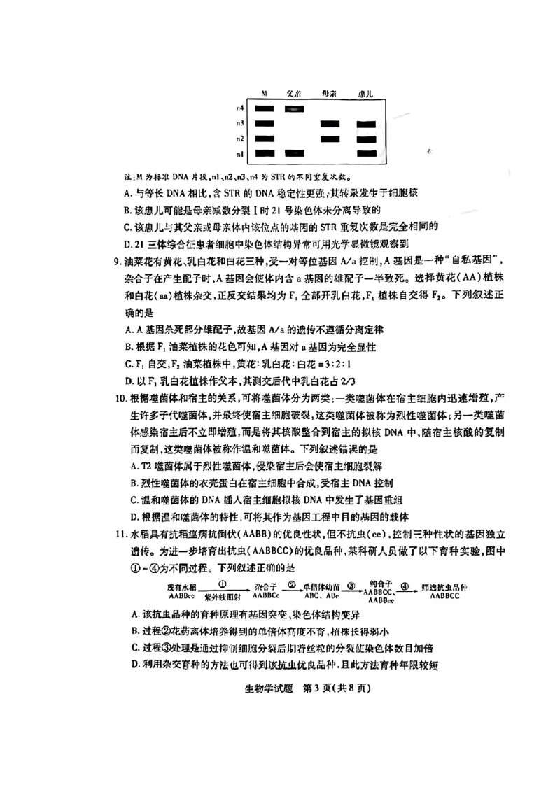 天一大联考2024-2025学年（上）湖南高三一联生物试卷_2024-2025高三（6-6月题库）_2024年09月试卷_0930湖南省天一大联考2025届高三9月联考_湖南天一大联考2025届高三9月联考生物