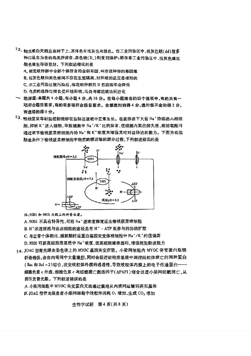 天一大联考2024-2025学年（上）湖南高三一联生物试卷_2024-2025高三（6-6月题库）_2024年09月试卷_0930湖南省天一大联考2025届高三9月联考_湖南天一大联考2025届高三9月联考生物