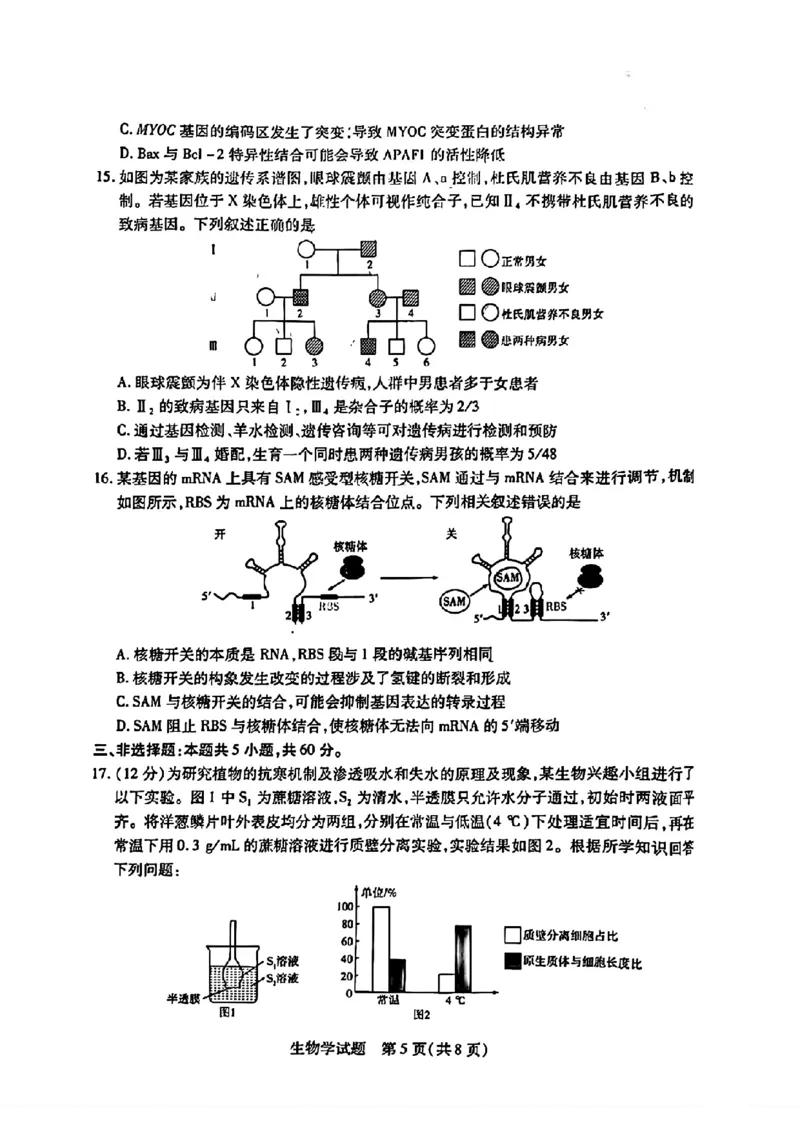 天一大联考2024-2025学年（上）湖南高三一联生物试卷_2024-2025高三（6-6月题库）_2024年09月试卷_0930湖南省天一大联考2025届高三9月联考_湖南天一大联考2025届高三9月联考生物
