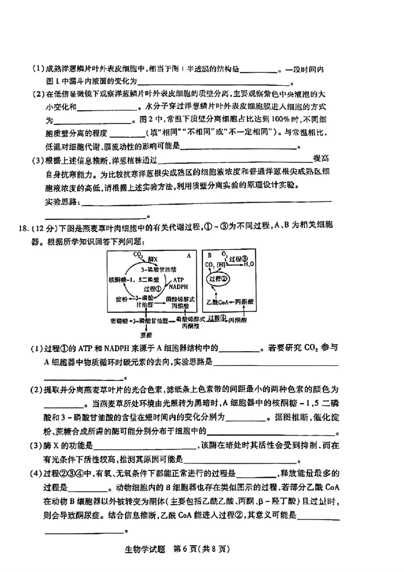天一大联考2024-2025学年（上）湖南高三一联生物试卷_2024-2025高三（6-6月题库）_2024年09月试卷_0930湖南省天一大联考2025届高三9月联考_湖南天一大联考2025届高三9月联考生物
