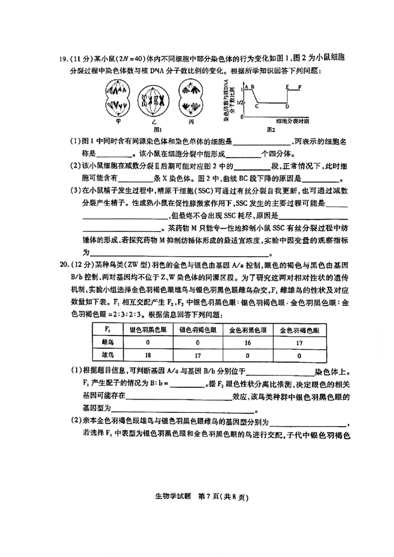 天一大联考2024-2025学年（上）湖南高三一联生物试卷_2024-2025高三（6-6月题库）_2024年09月试卷_0930湖南省天一大联考2025届高三9月联考_湖南天一大联考2025届高三9月联考生物