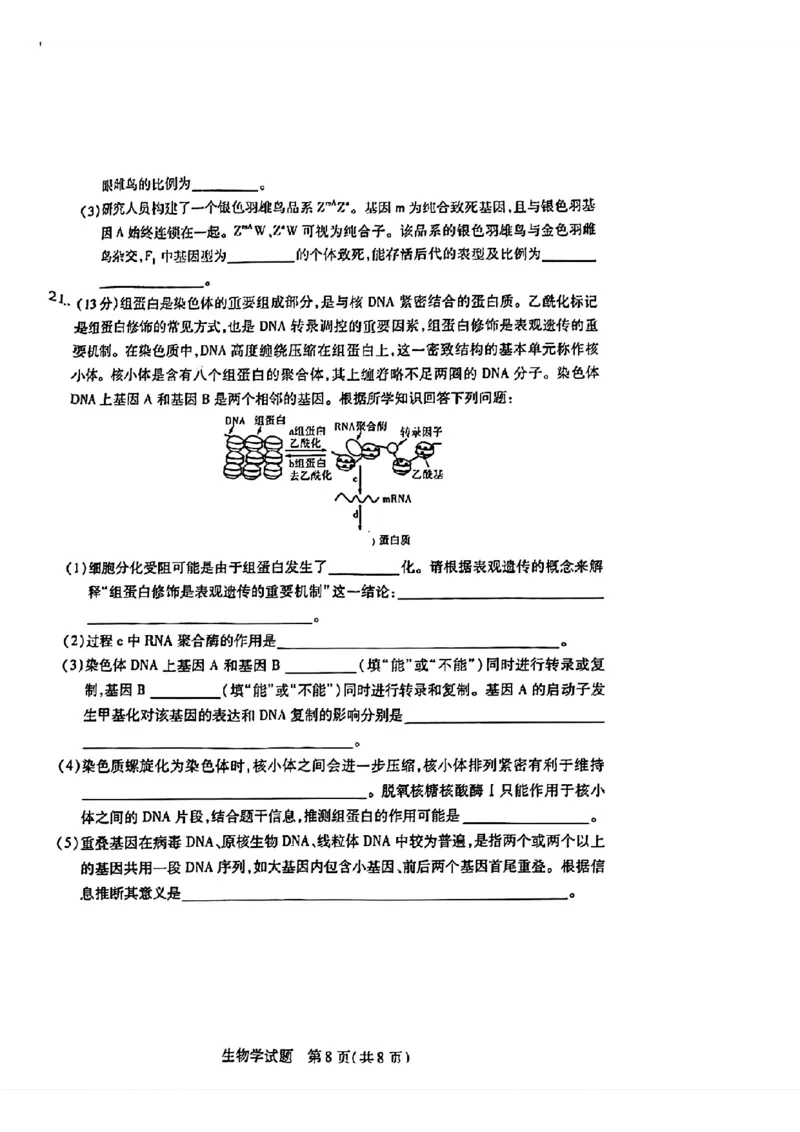 天一大联考2024-2025学年（上）湖南高三一联生物试卷_2024-2025高三（6-6月题库）_2024年09月试卷_0930湖南省天一大联考2025届高三9月联考_湖南天一大联考2025届高三9月联考生物