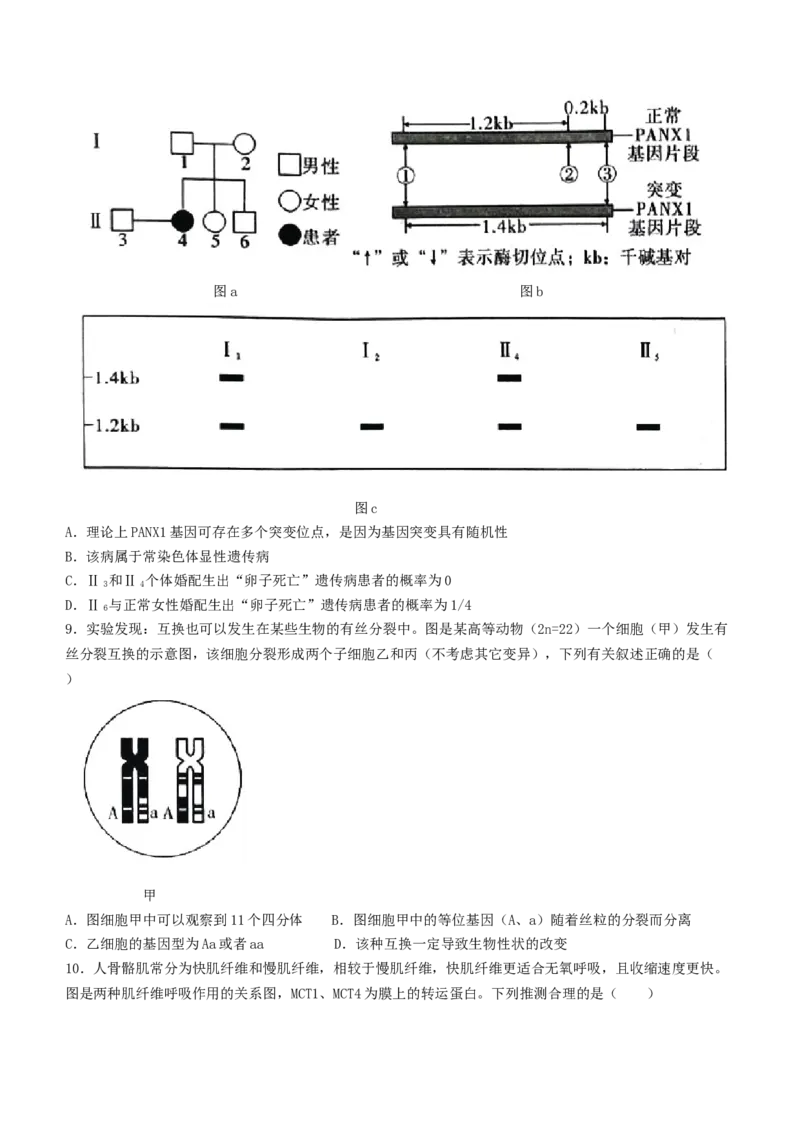重庆市南开中学校2023-2024学年高三下学期第七次质量检测生物试题+答2(1)_2024年3月_013月合集_2024届重庆市南开中学高三下学期第七次质量检测