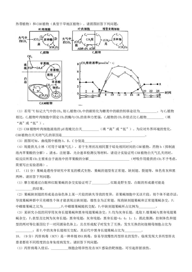 重庆市南开中学校2023-2024学年高三下学期第七次质量检测生物试题+答2(1)_2024年3月_013月合集_2024届重庆市南开中学高三下学期第七次质量检测