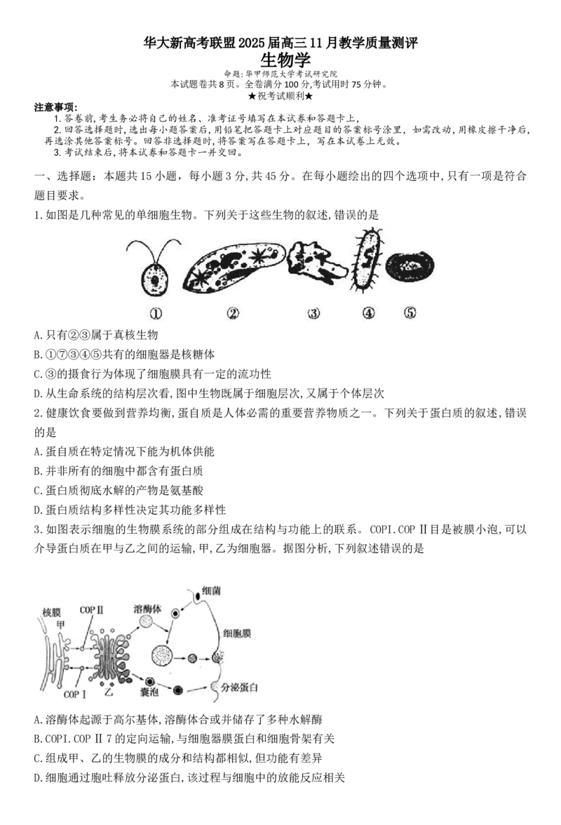 华大新高考联盟2025届高三11月教学质量测评_2024-2025高三（6-6月题库）_2024年12月试卷_1201华大新高考联盟2025届高三11月教学质量测评（全科）_华大新高考联盟2025届高三11月教学质量测评