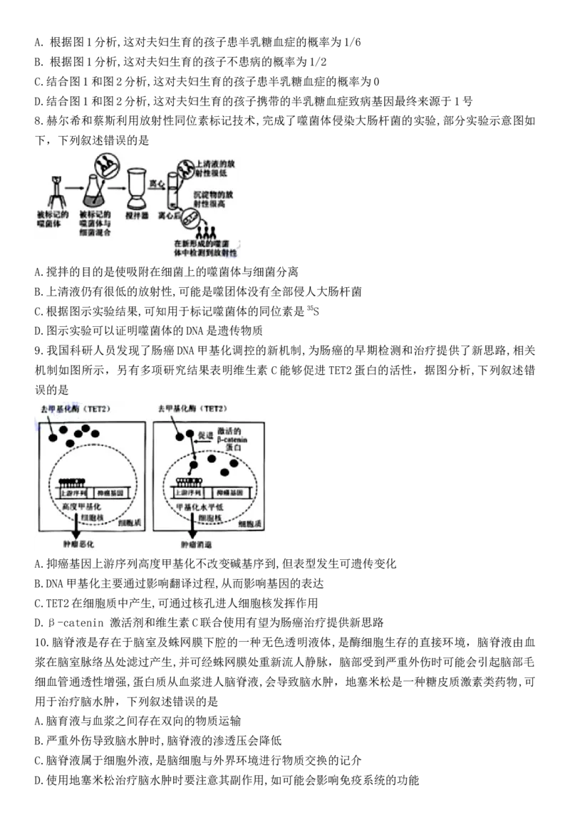 华大新高考联盟2025届高三11月教学质量测评_2024-2025高三（6-6月题库）_2024年12月试卷_1201华大新高考联盟2025届高三11月教学质量测评（全科）_华大新高考联盟2025届高三11月教学质量测评