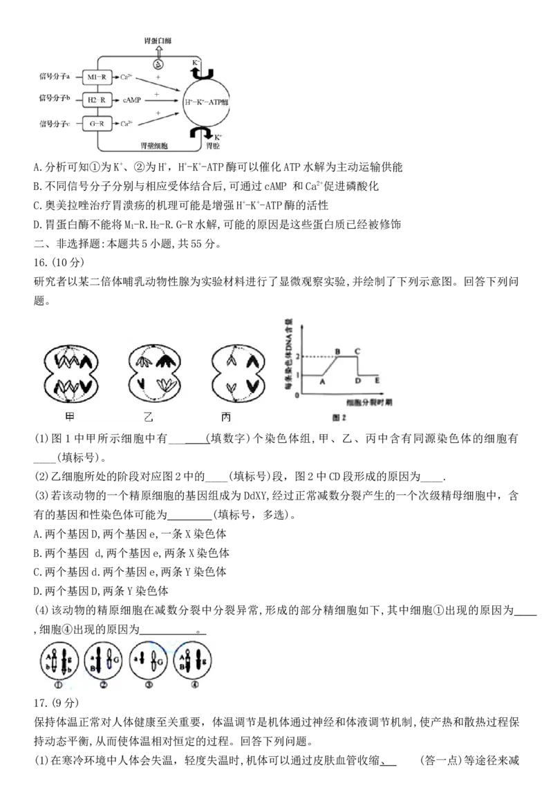 华大新高考联盟2025届高三11月教学质量测评_2024-2025高三（6-6月题库）_2024年12月试卷_1201华大新高考联盟2025届高三11月教学质量测评（全科）_华大新高考联盟2025届高三11月教学质量测评