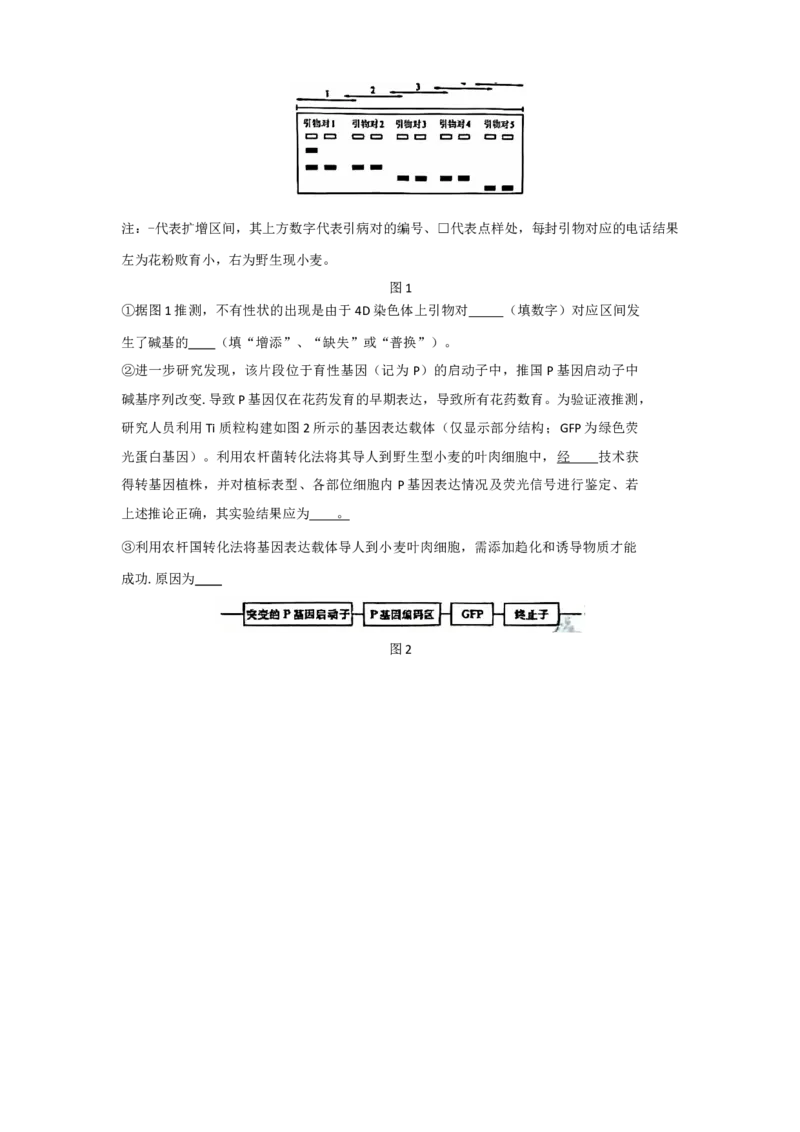 华大新高考联盟2025届高三11月教学质量测评_2024-2025高三（6-6月题库）_2024年12月试卷_1201华大新高考联盟2025届高三11月教学质量测评（全科）_华大新高考联盟2025届高三11月教学质量测评