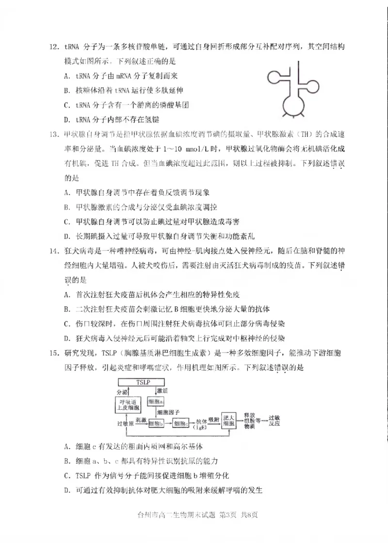 浙江省台州市2024学年第一学期高二年级期末质量评估试题生物（PDF版，含答案）_2024-2025高二（7-7月题库）_2025年02月试卷_0218浙江省台州市2024-2025学年高二上学期期末质量评估试题