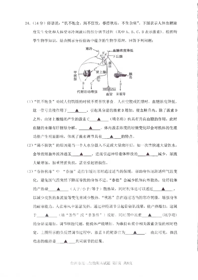 浙江省台州市2024学年第一学期高二年级期末质量评估试题生物（PDF版，含答案）_2024-2025高二（7-7月题库）_2025年02月试卷_0218浙江省台州市2024-2025学年高二上学期期末质量评估试题