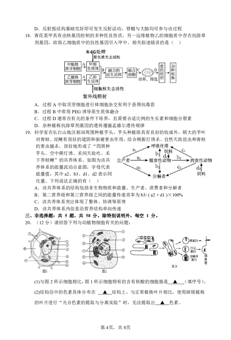 江苏省淮安市十校2024-2025学年高三上学期第一次联考试题生物PDF版含答案（可编辑）_2024-2025高三（6-6月题库）_2024年09月试卷_0927江苏省淮安市十校2024-2025学年高三上学期第一次联考