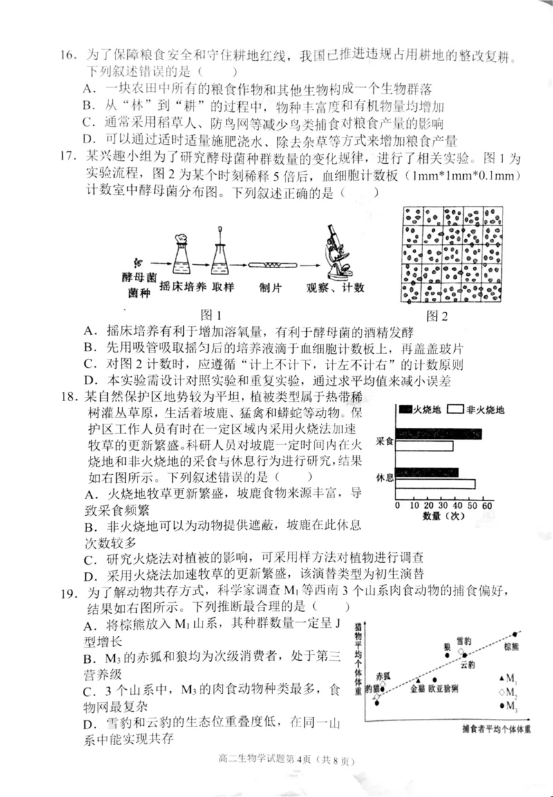 四川省南充市2024-2025学年高二上学期1月期末生物试题_2024-2025高二（7-7月题库）_2025年02月试卷_0207四川省南充市2024-2025学年高二上学期期末检测试题