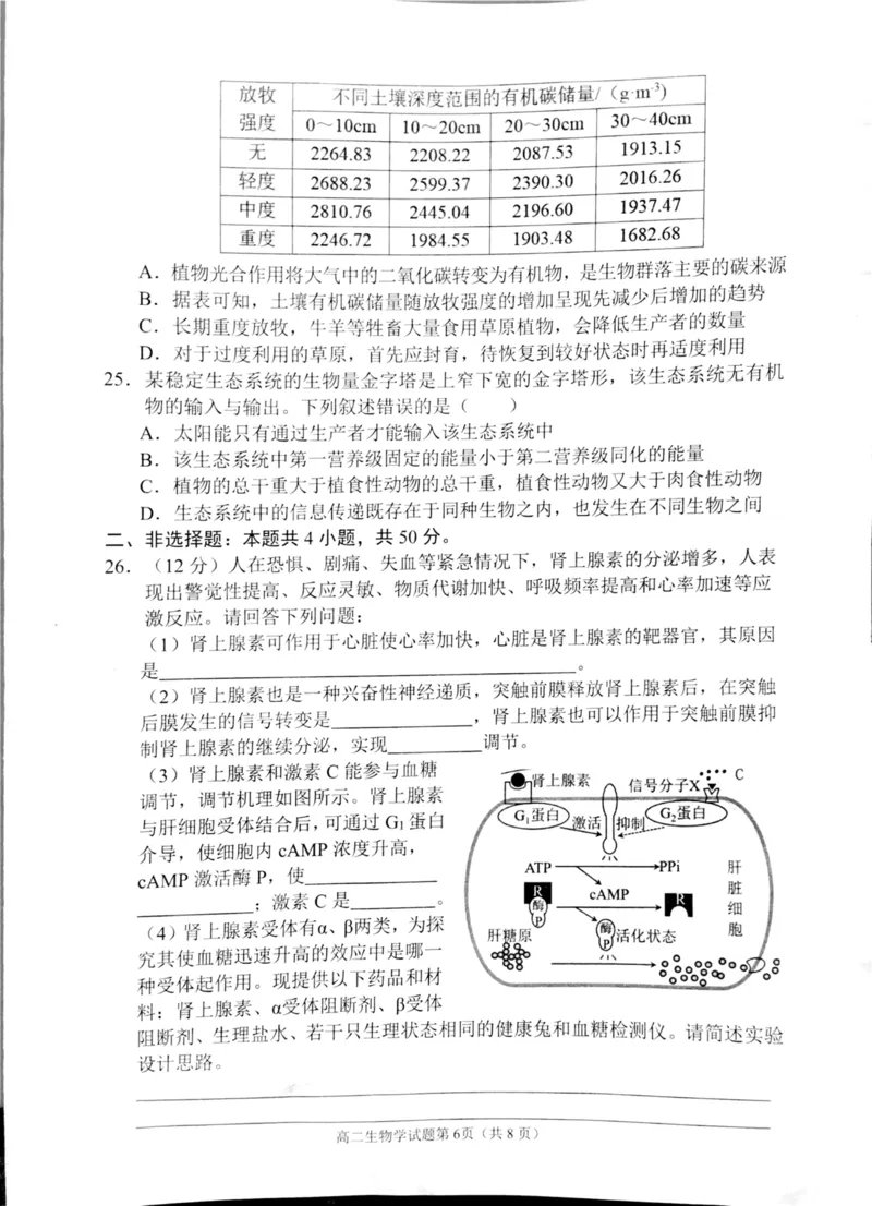 四川省南充市2024-2025学年高二上学期1月期末生物试题_2024-2025高二（7-7月题库）_2025年02月试卷_0207四川省南充市2024-2025学年高二上学期期末检测试题