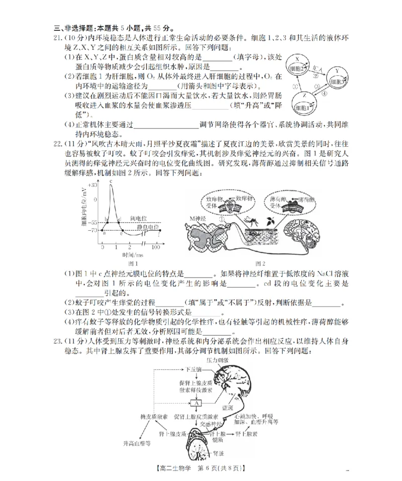 内蒙古2025-2026学年高二上学期期中教学质量检测（26-119B）生物_251206金太阳&middot;内蒙古2025-2026学年高二上学期期中教学质量检测（26-119B）（全）