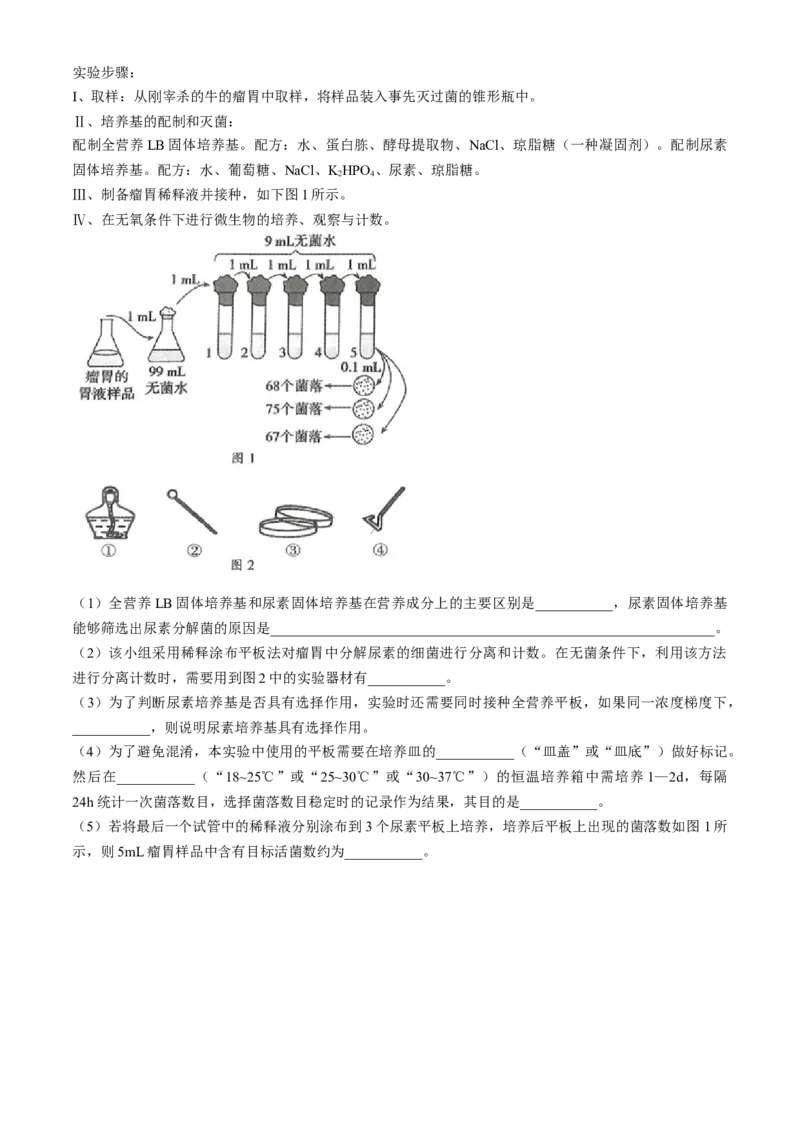 河北省邢台市信都区邢台市第一中学2024-2025学年高二下学期3月月考生物学试题(无答案)_2024-2025高二（7-7月题库）_2025年03月试卷_0331河北省邢台市第一中学2024-2025学年高二下学期3月月考
