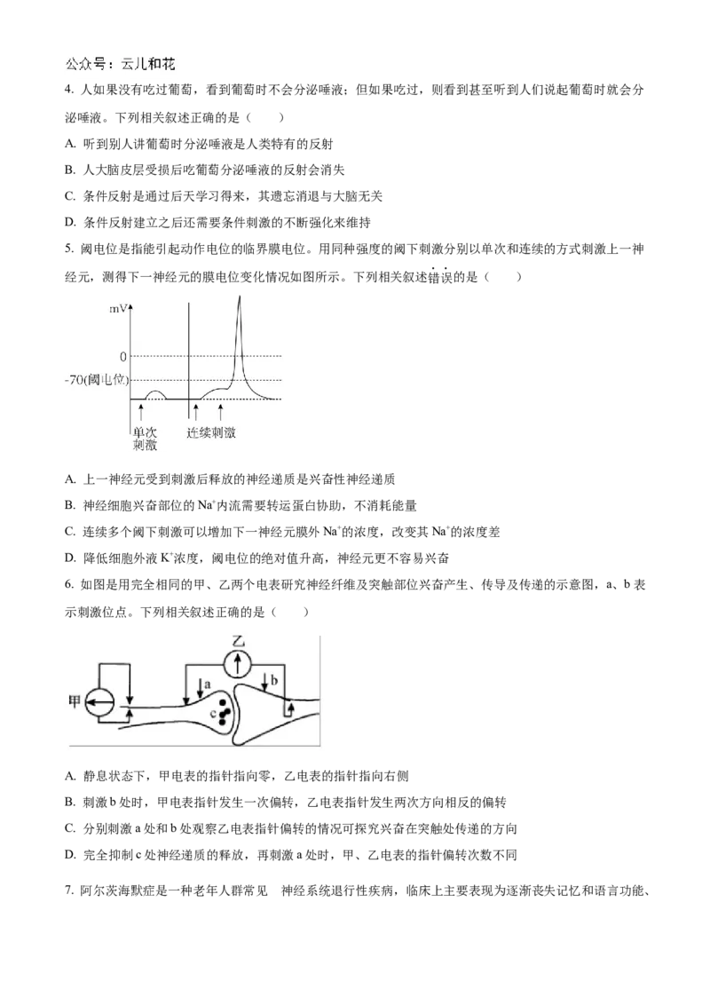 河北省沧州市八县联考2024-2025学年高二上学期10月期中考试生物Word版含答案_2024-2025高二（7-7月题库）_2024年11月试卷_1104河北省沧州市八县联考2024-2025学年高二上学期10月期中考试